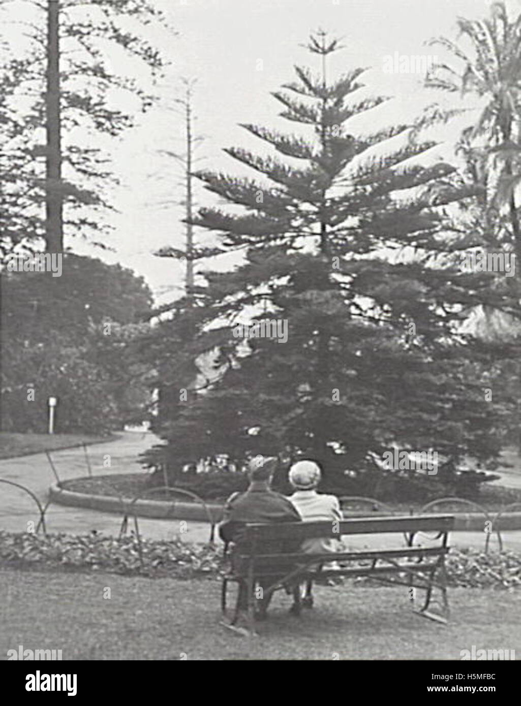 Le jardin botanique de Sydney est l'un des principaux monuments de la ville, connu pour ses vastes collections de plantes, ses paysages magnifiques et ses programmes éducatifs. Il offre un havre de paix avec vue sur le port de Sydney et les monuments emblématiques. Banque D'Images