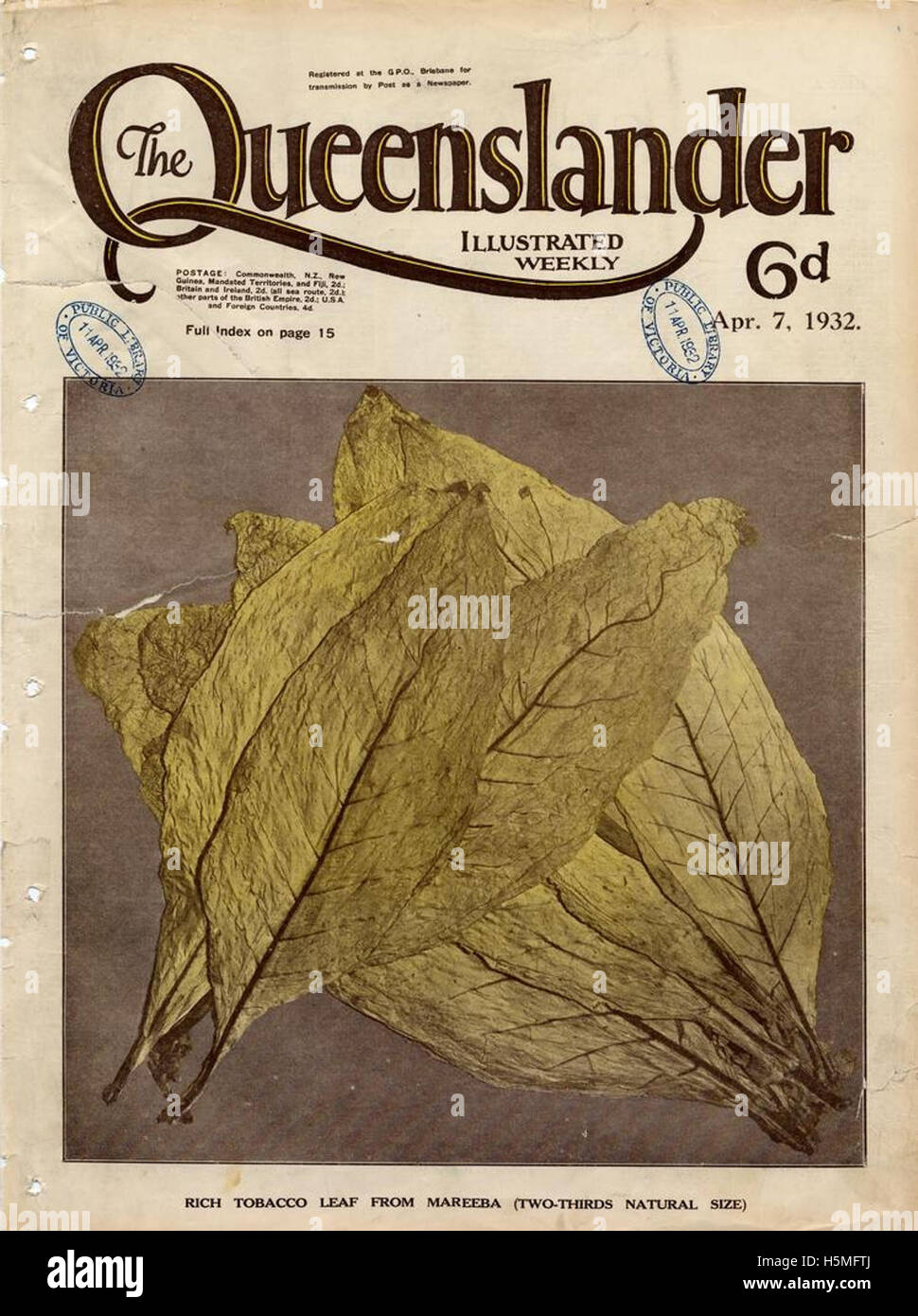 La couverture de *The Queenslander* en avril présente une feuille de tabac, un élément visuel reflétant probablement l'importance de l'industrie du tabac dans le Queensland pendant cette période. Banque D'Images La couverture de *The Queenslander* en avril présente une feuille de tabac, un élément visuel reflétant probablement l'importance de l'industrie du tabac dans le Queensland pendant cette période. Banque D'Images