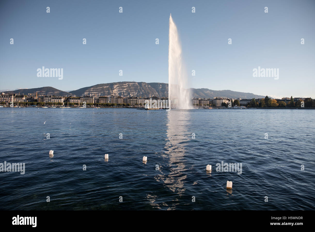 La fontaine du Jet d'eau sur le lac de Genève, Suisse. Banque D'Images