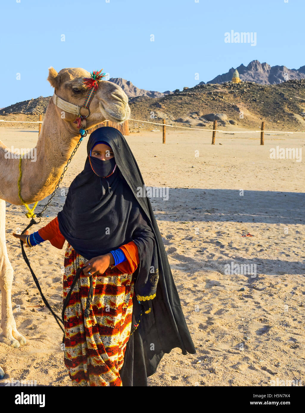 La jeune fille-chamelier bédouin du village de désert du Sahara avec son chameau, Hurghada, Egypte. Banque D'Images