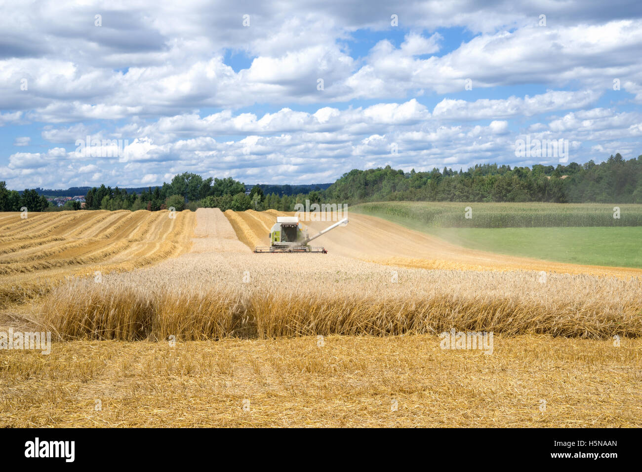 La récolte d'un champ de céréales Banque D'Images