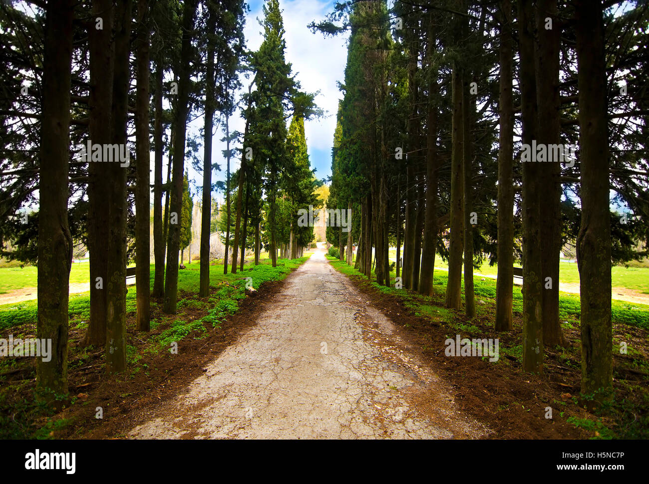 Jardin abandonné de Tatoi Palace Grèce Banque D'Images