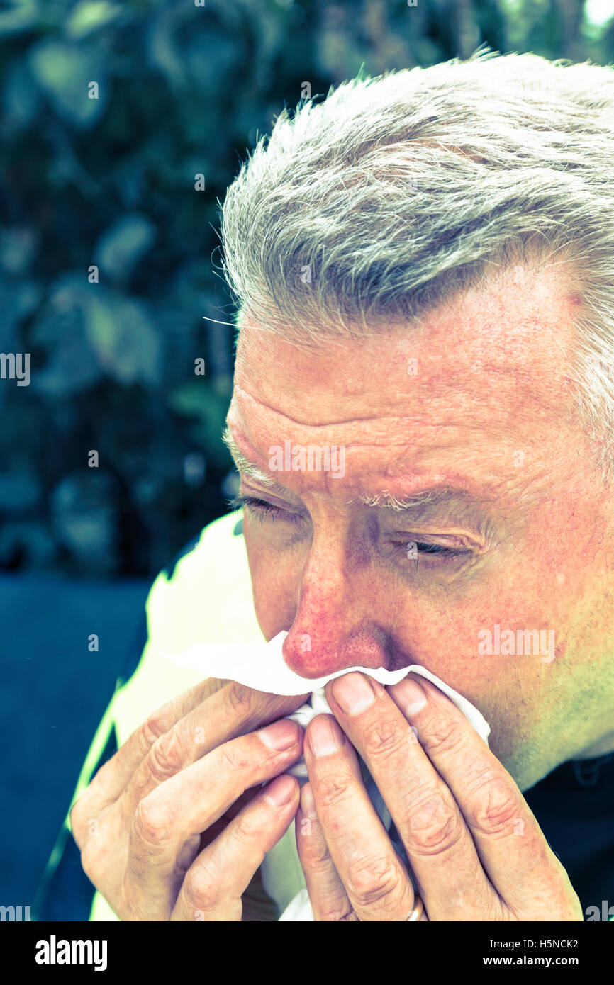 Homme âgé souffrant d'allergies saisonnières, USA Banque D'Images