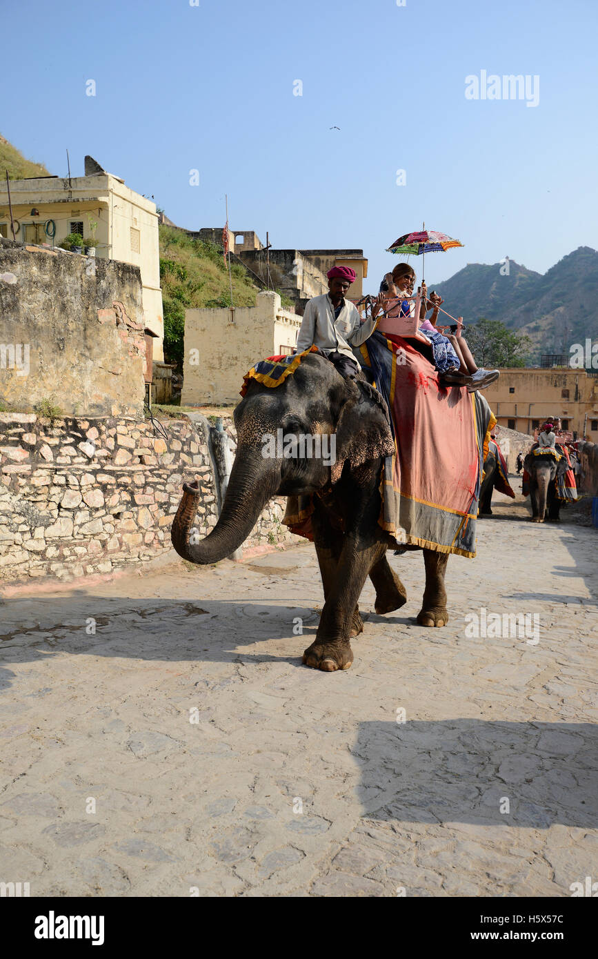 Décorées avec leurs éléphants rider exerçant son passager à Fort Amer à Jaipur, Rajasthan, Inde Banque D'Images