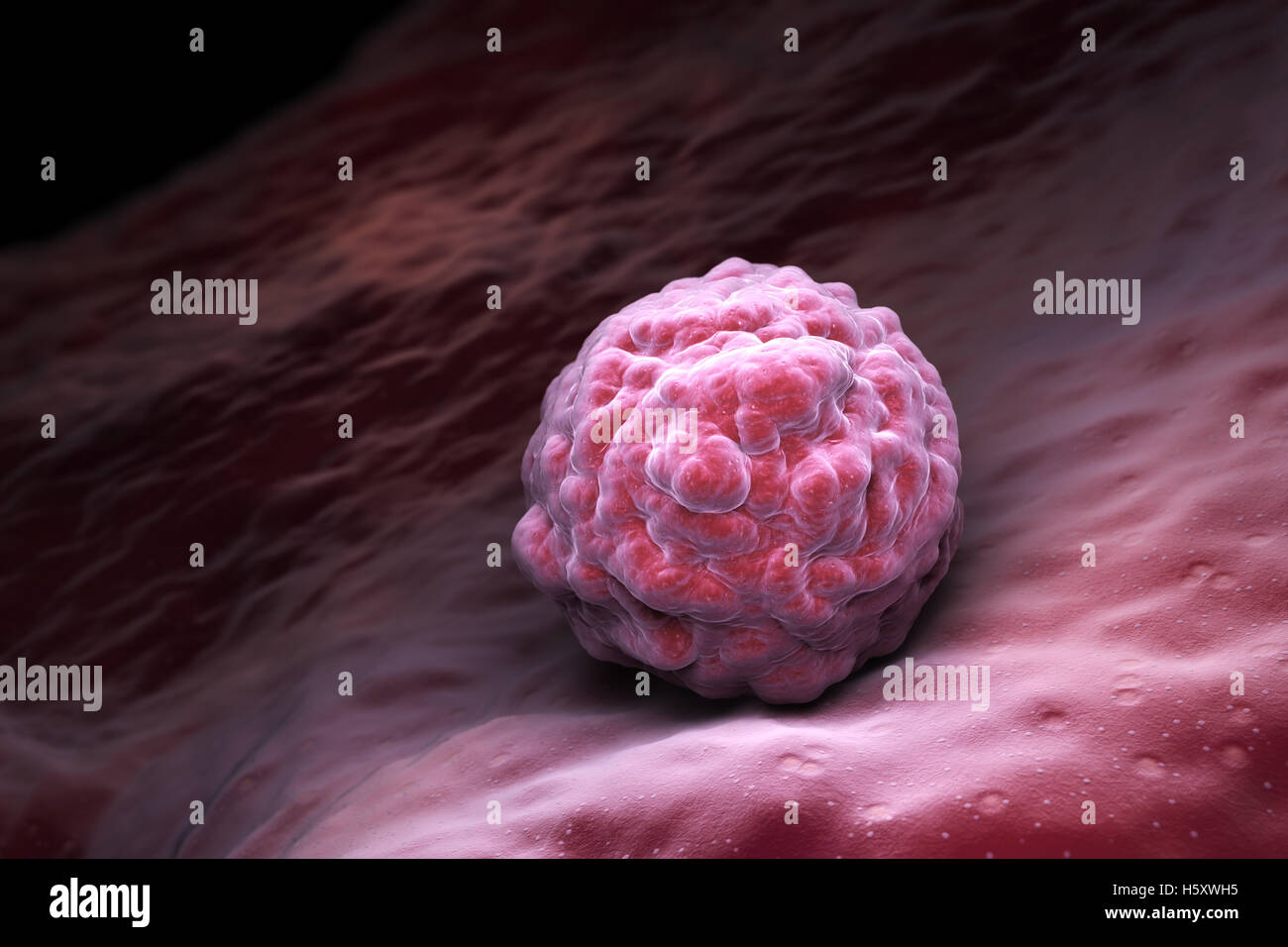 Les cellules souches embryonnaires de thérapie cellulaire , , , le traitement de la maladie. 3D illustration Banque D'Images