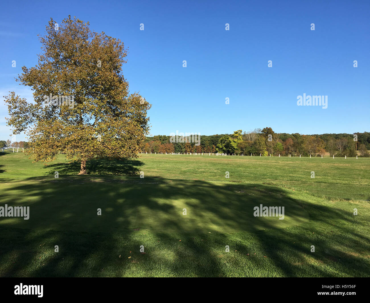 Grand champ ouvert sur une journée d'automne. Il y a un arbre et une grande ombre faite à partir de la fin d'après-midi. Banque D'Images