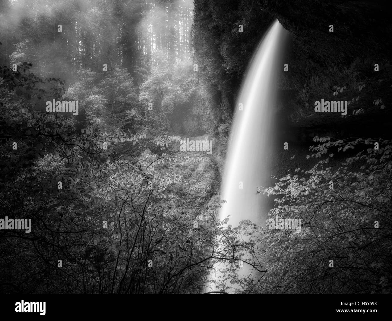 Nord Moyenne tombe au printemps avec du brouillard, Silver Falls State Park, New York Banque D'Images