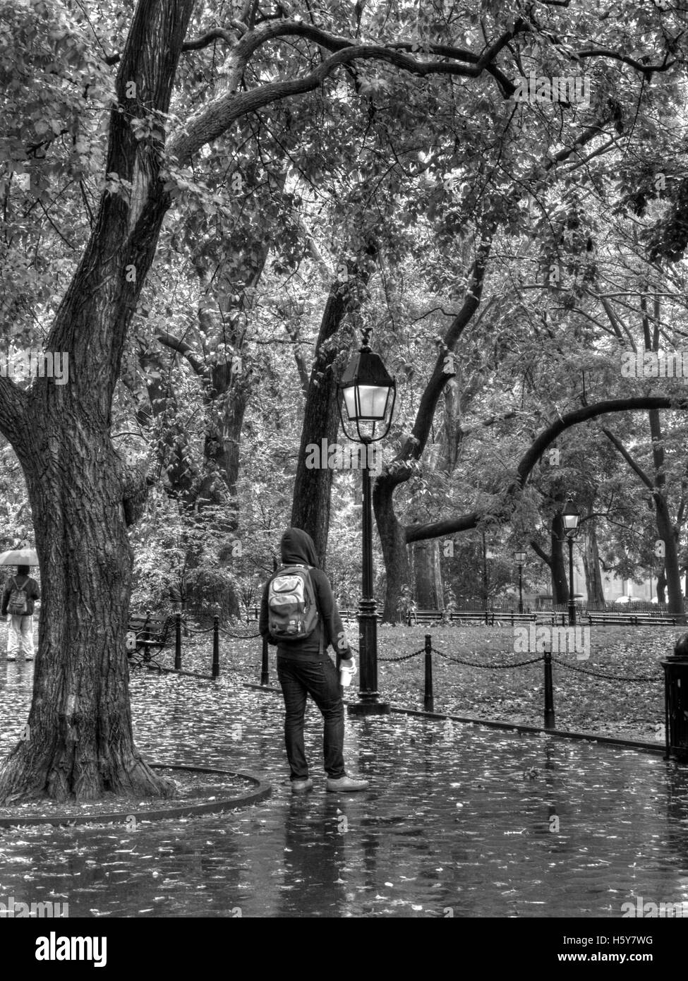 Un jour de pluie dans un parc à New York Banque D'Images