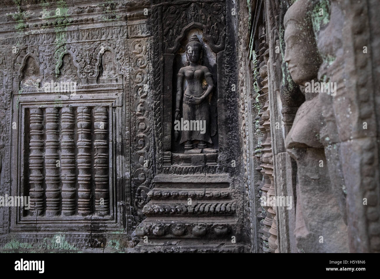 Dans les sculptures de pierre les bâtiments du Temple Ta Prohm, Cambodge Banque D'Images