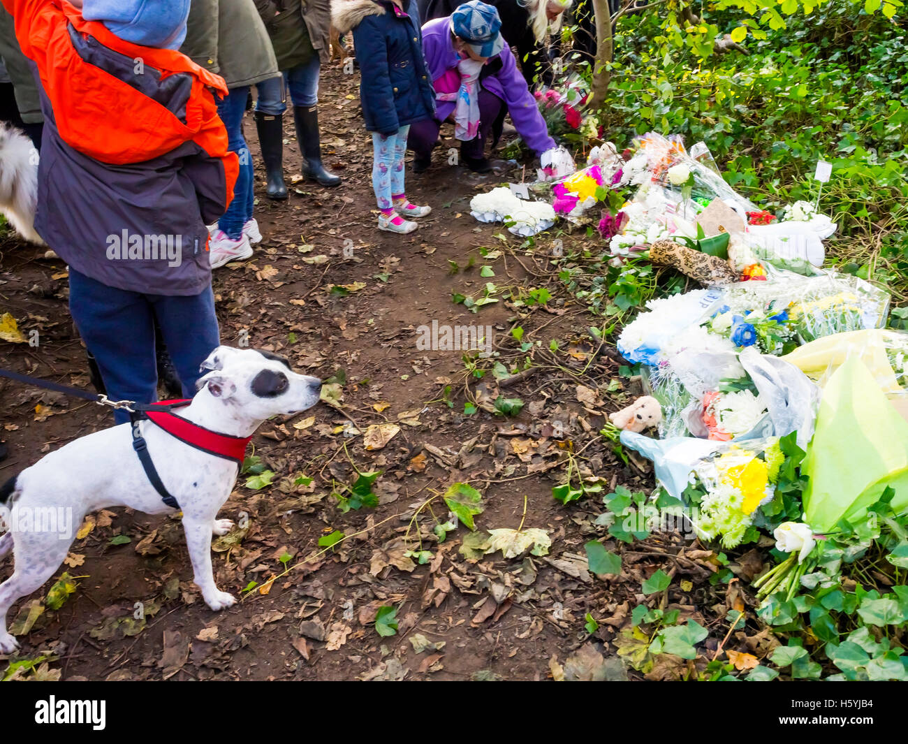 Redcar Kirkleatham Cleveland UK 22 Octobre 2016 : une veillée a eu lieu à Kirkleatham Woods aujourd'hui de se souvenir d'un petit chien qui avait été trouvé mercredi dernier enterrés vivants et avec un grand clou enfoncé dans la tête dans un acte de cruauté inexplicable. Les vétérinaires ont été appelés et le chien a été mis vers le bas. La Veillée a réuni environ 200 personnes avec de nombreux chiens. Fleurs et hommages ont été portées à l'endroit où le chien avait été trouvé. Les motocyclistes de la Couronne Les motards ont également participé. MCC Dans le cadre de la criminalité d'origine deux hommes âgés de 59 et 60 ont été arrêtés et renfloué. © Peter Jordan NE/Alamy Live N Banque D'Images