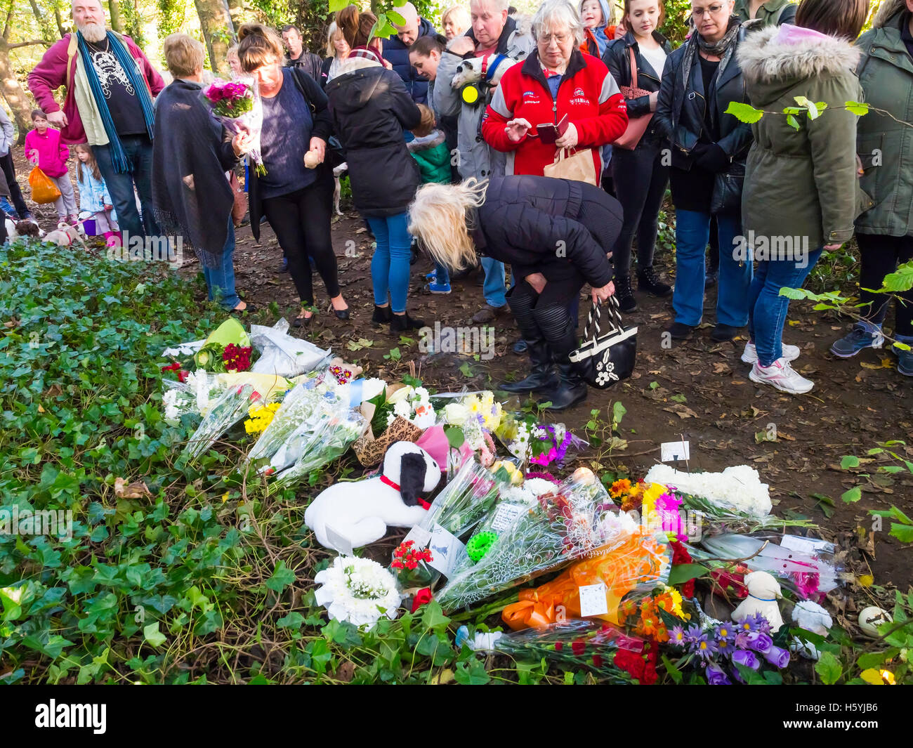 Redcar Kirkleatham Cleveland UK 22 Octobre 2016 : une veillée a eu lieu à Kirkleatham Woods aujourd'hui de se souvenir d'un petit chien qui avait été trouvé mercredi dernier enterrés vivants et avec un grand clou enfoncé dans la tête dans un acte de cruauté inexplicable. Les vétérinaires ont été appelés et le chien a été mis vers le bas. La Veillée a réuni environ 200 personnes avec de nombreux chiens. Fleurs et hommages ont été portées à l'endroit où le chien avait été trouvé. Les motocyclistes de la Couronne Les motards ont également participé. MCC Dans le cadre de la criminalité d'origine deux hommes âgés de 59 et 60 ont été arrêtés et renfloué. © Peter Jordan NE/Alamy Live N Banque D'Images