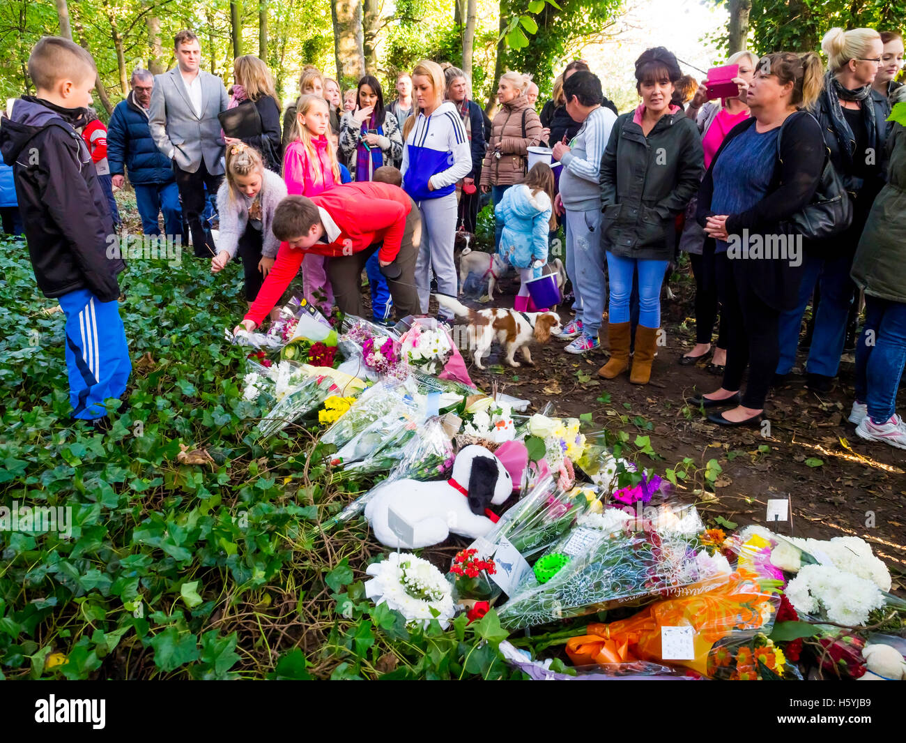 N 60 22 59 Banque de photographies et d’images à haute résolution Alamy