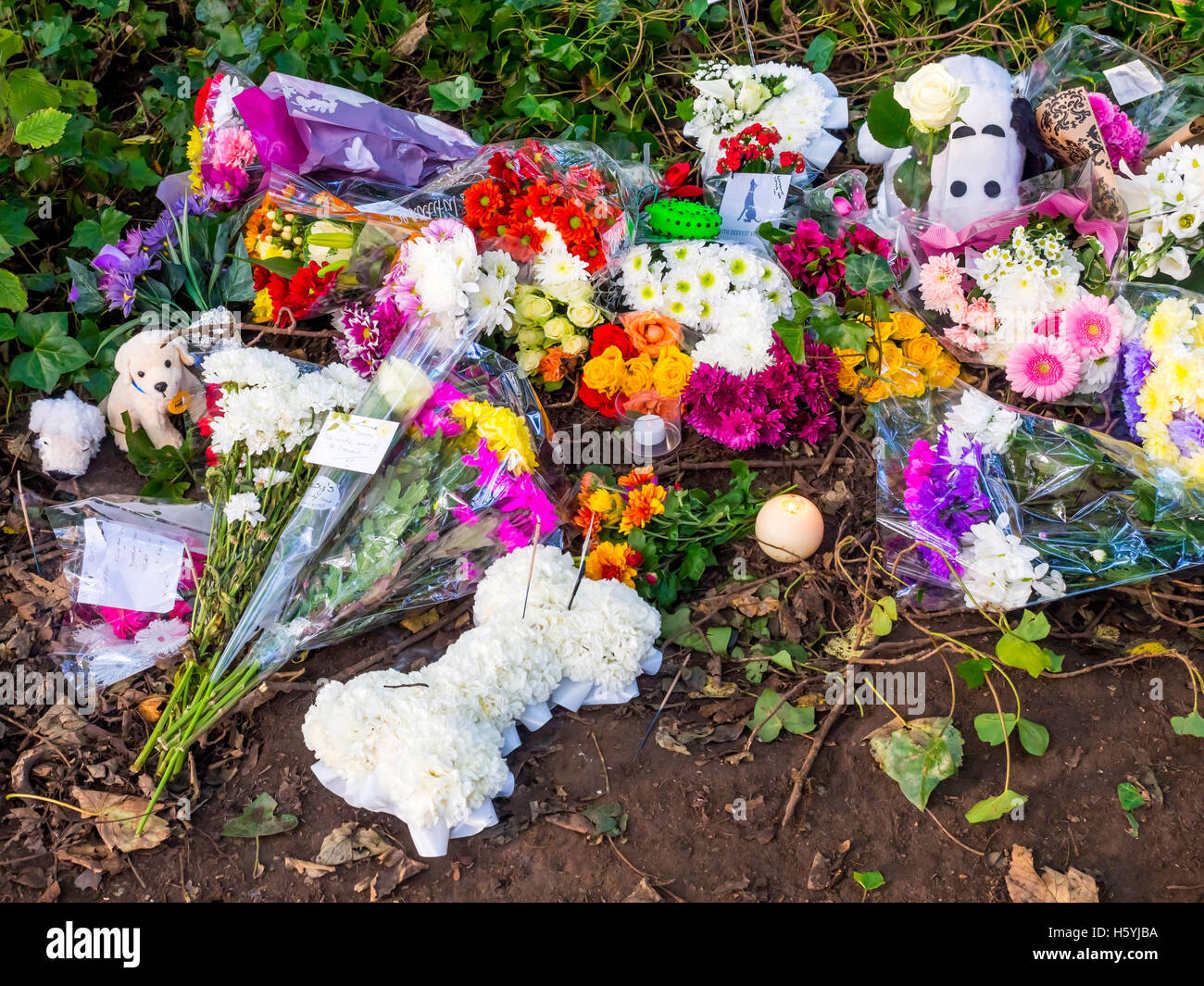 Redcar Kirkleatham Cleveland UK 22 Octobre 2016 : une veillée a eu lieu à Kirkleatham Woods aujourd'hui de se souvenir d'un petit chien qui avait été trouvé mercredi dernier enterrés vivants et avec un grand clou enfoncé dans la tête dans un acte de cruauté inexplicable. Les vétérinaires ont été appelés et le chien a été mis vers le bas. La Veillée a réuni environ 200 personnes avec de nombreux chiens. Fleurs et hommages ont été portées à l'endroit où le chien avait été trouvé. Les motocyclistes de la Couronne Les motards ont également participé. MCC Dans le cadre de la criminalité d'origine deux hommes âgés de 59 et 60 ont été arrêtés et renfloué. © Peter Jordan NE/Alamy Live N Banque D'Images