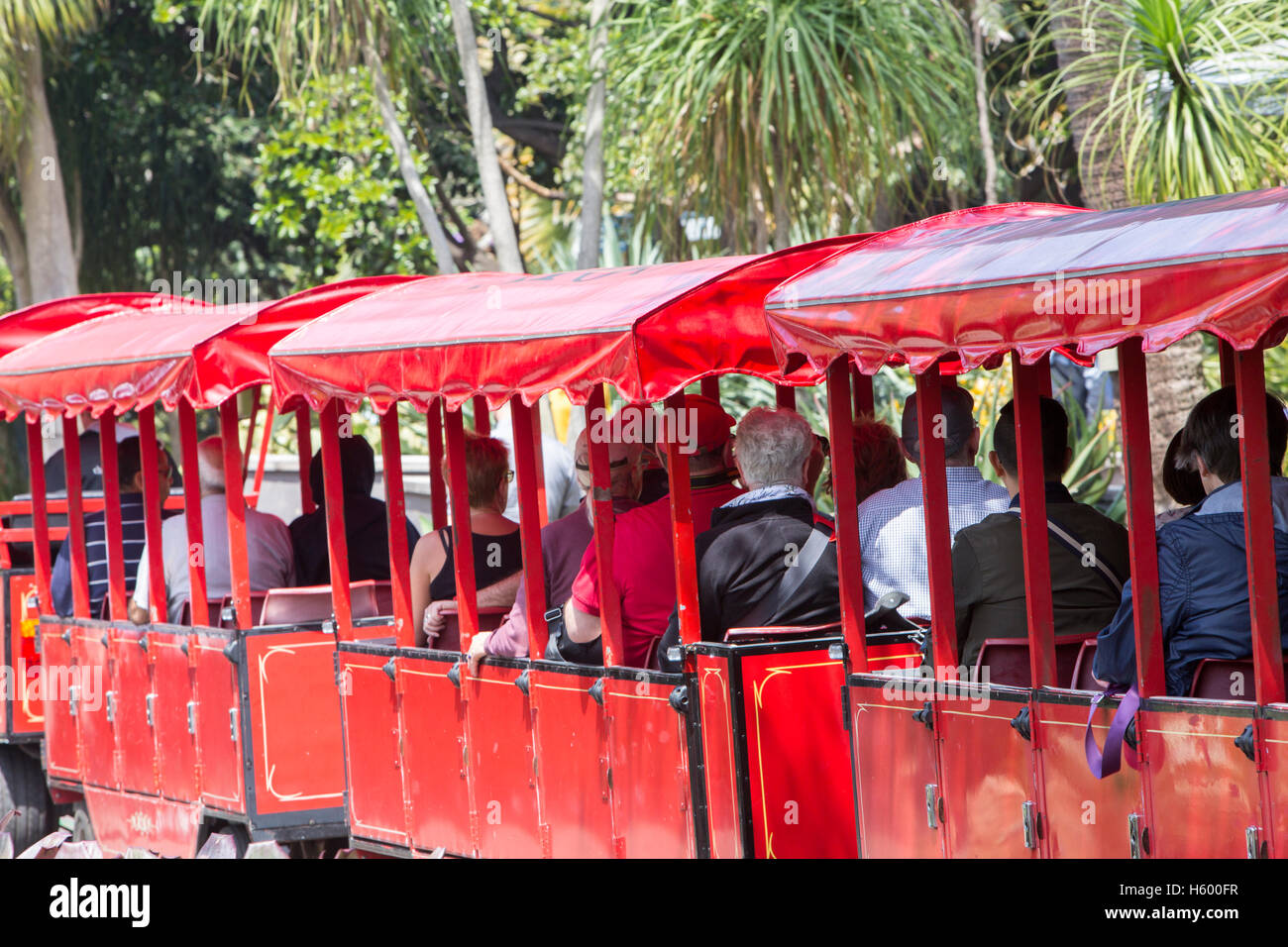 Royal Botanic Gardens dans le centre-ville de Sydney, et l'CHOO CHOO train donnant une visite guidée du parc,Sydney, Australie Banque D'Images