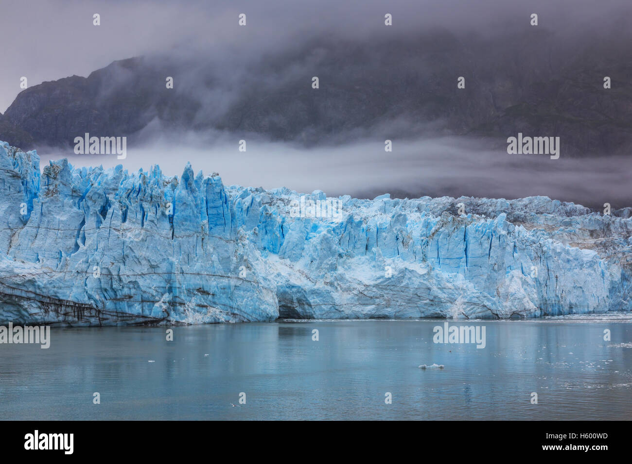 Glacier Bay National Park, Alaska Banque D'Images