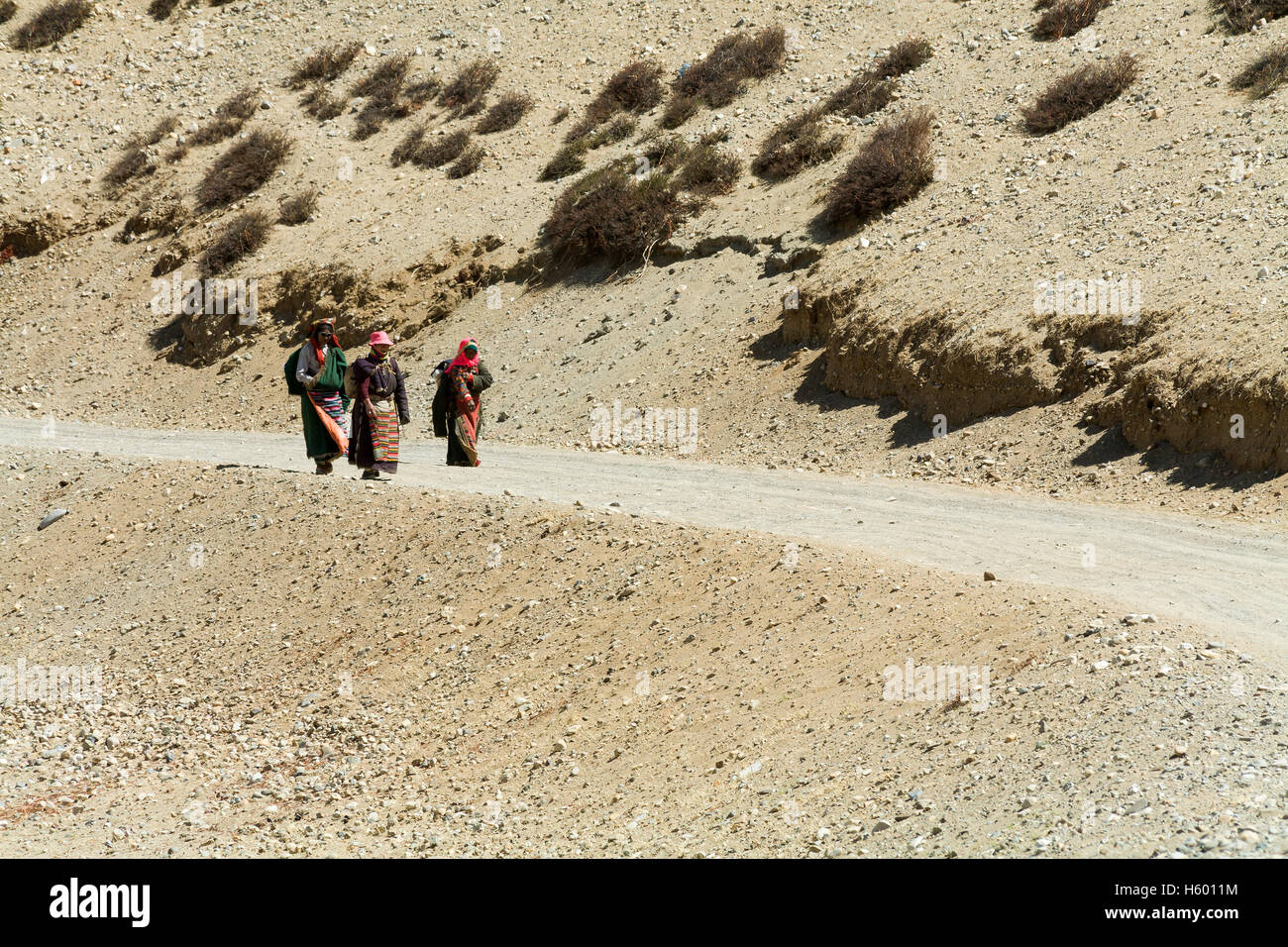 Les pèlerins d'arbres randonnées, faisant du kora autour du lac Manasarovar. Tibet, Chine. Banque D'Images