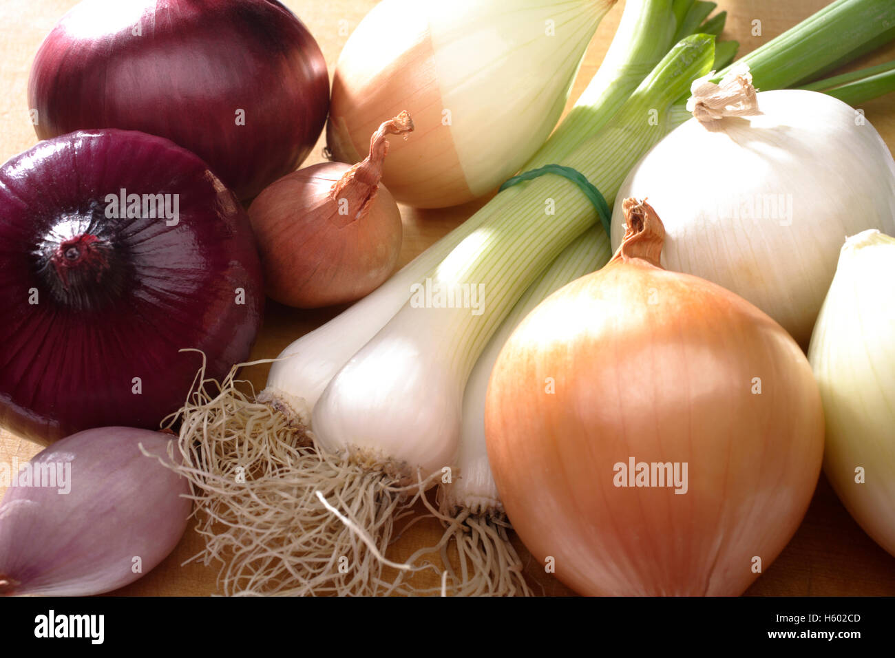 Oignons rouges (Allium cepa), oignons (Allium cepa), oignons de printemps (Allium fistulosum), les échalotes Banque D'Images