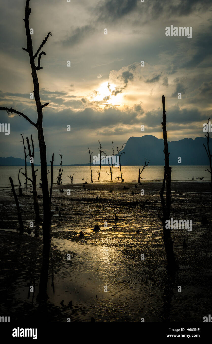 Un étrange coucher du soleil à Parc national de Bako Banque D'Images