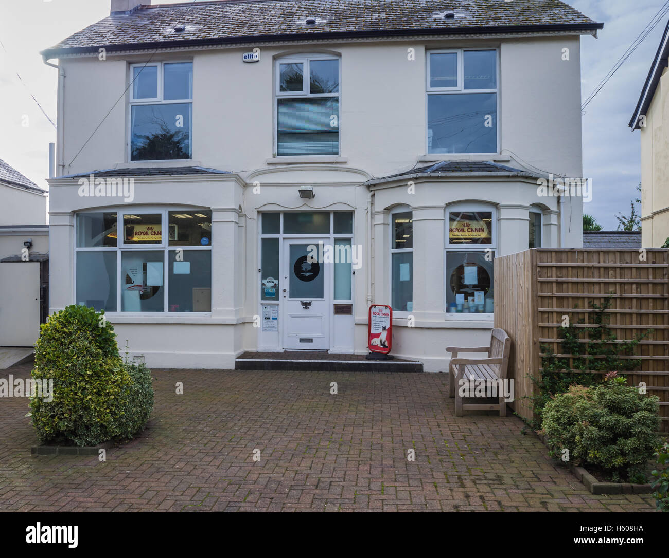 Cedarmount Chirurgie vétérinaire Banque D'Images