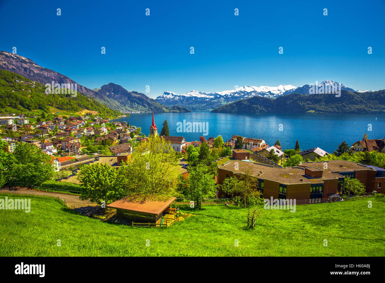 Weggis, village du lac des Quatre-Cantons, Pilatus et montagne Alpes  Suisses dans le fond près de la célèbre ville de Lucerne, Suisse Photo  Stock - Alamy
