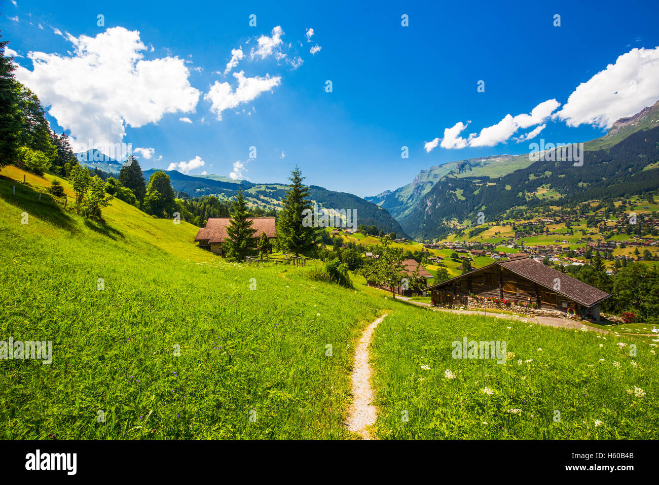 La vallée de Grindelwald, vert forêt, chalets Alpes et Alpes Suisses (Schreckhorn, Berglistock et Wetterhorn) dans les Alpes Suisses Banque D'Images