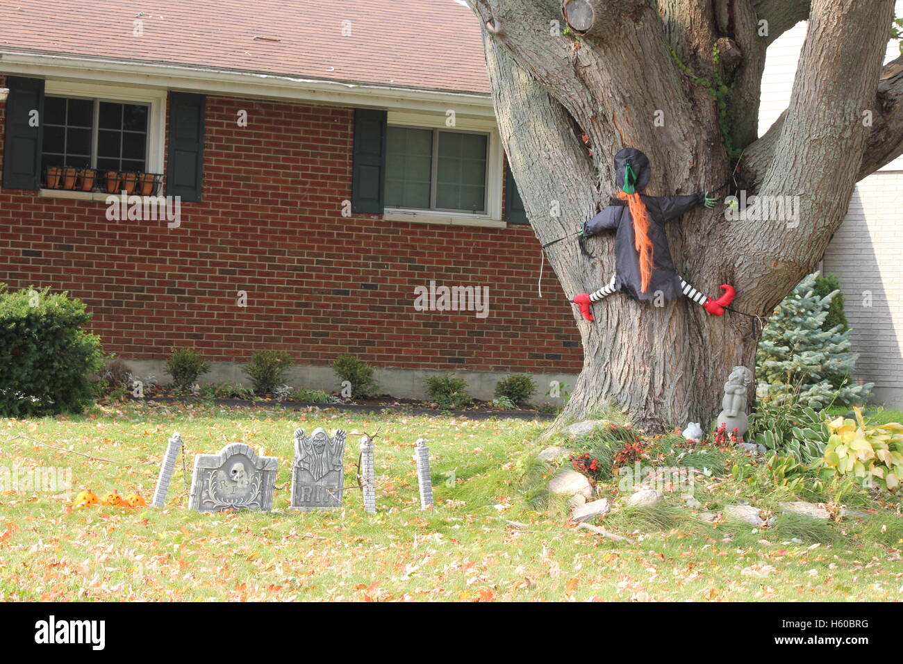 Halloween, sorcière d'ornement représentant voler dans un arbre. Banque D'Images