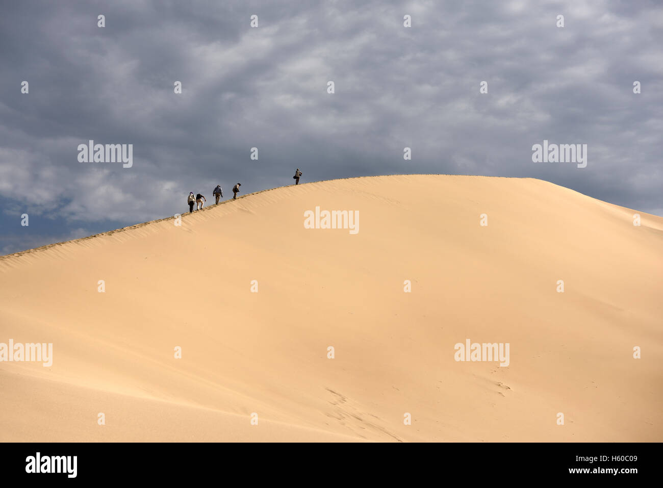 Groupe de photographes l'escalade des dunes de sable chant Altyn Emel Parc National du Kazakhstan Banque D'Images