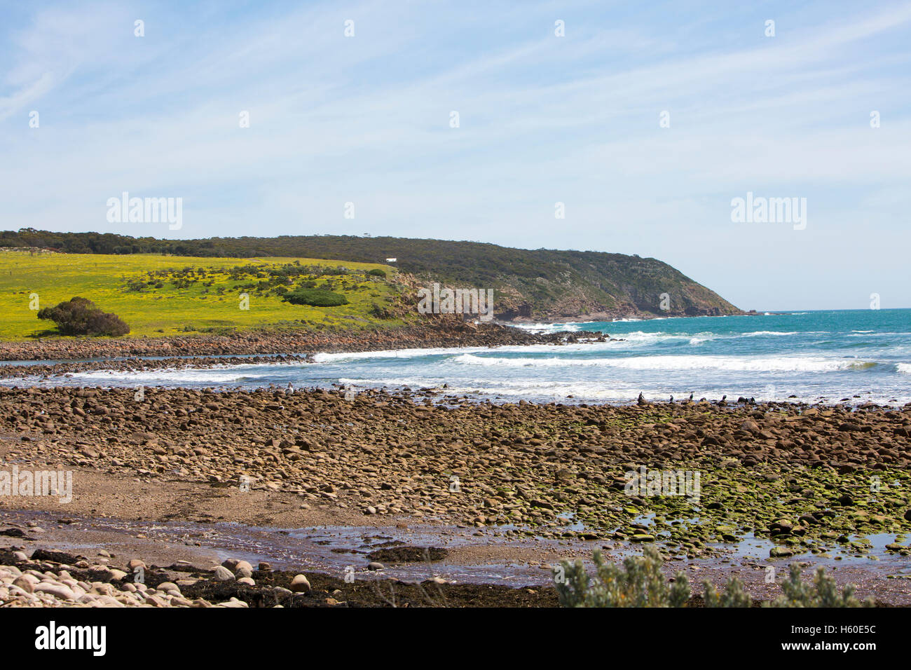 Stokes Bay sur la côte nord de l'île Kangourou, Australie du Sud Banque D'Images