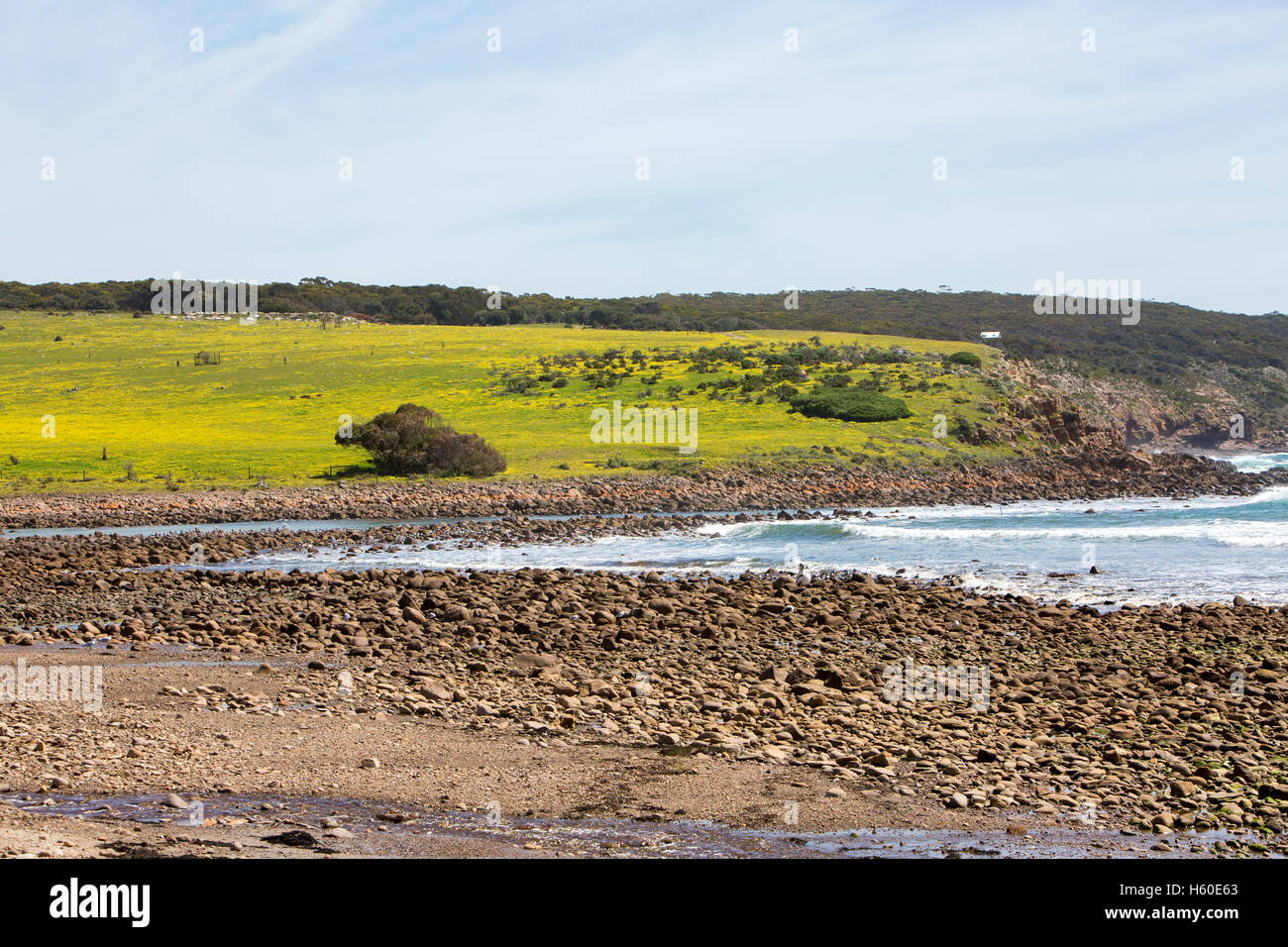 Stokes Bay sur la côte nord de l'île Kangourou, Australie du Sud Banque D'Images