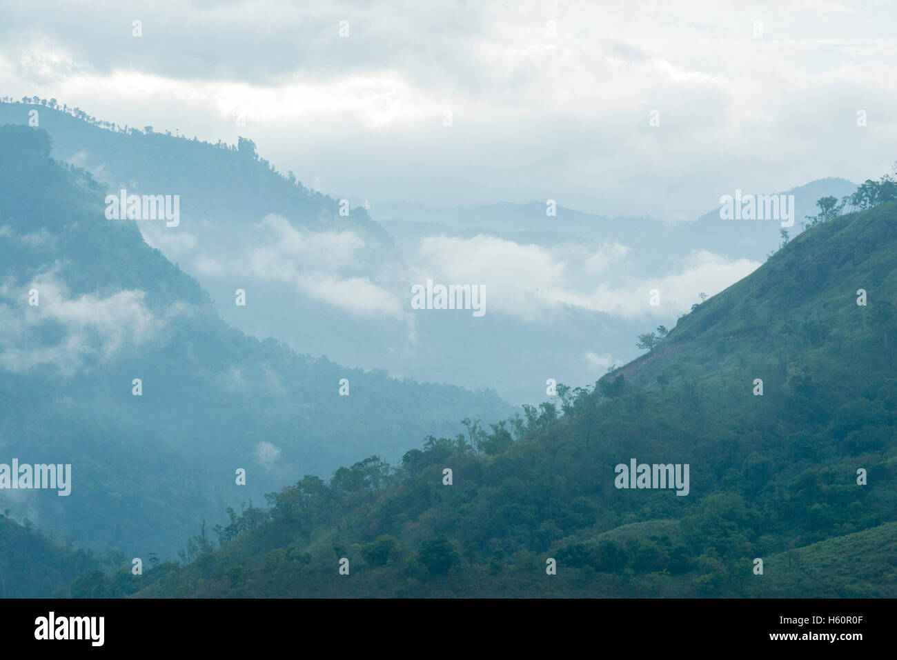 Paysages de Hill Country, Ella, Sri Lanka Banque D'Images