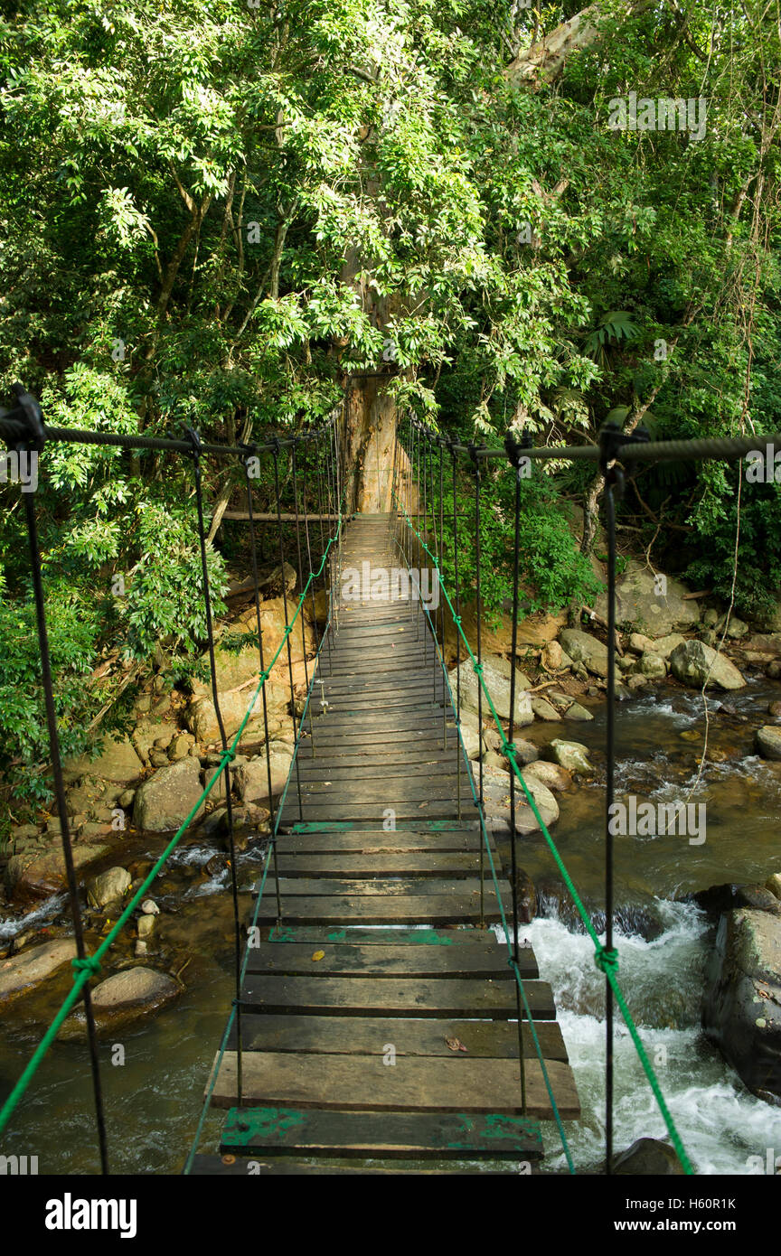 Au cours de la promenade de la rivière Kirindi Oya dans Ella Junge Resort, Ella, Sri Lanka Banque D'Images