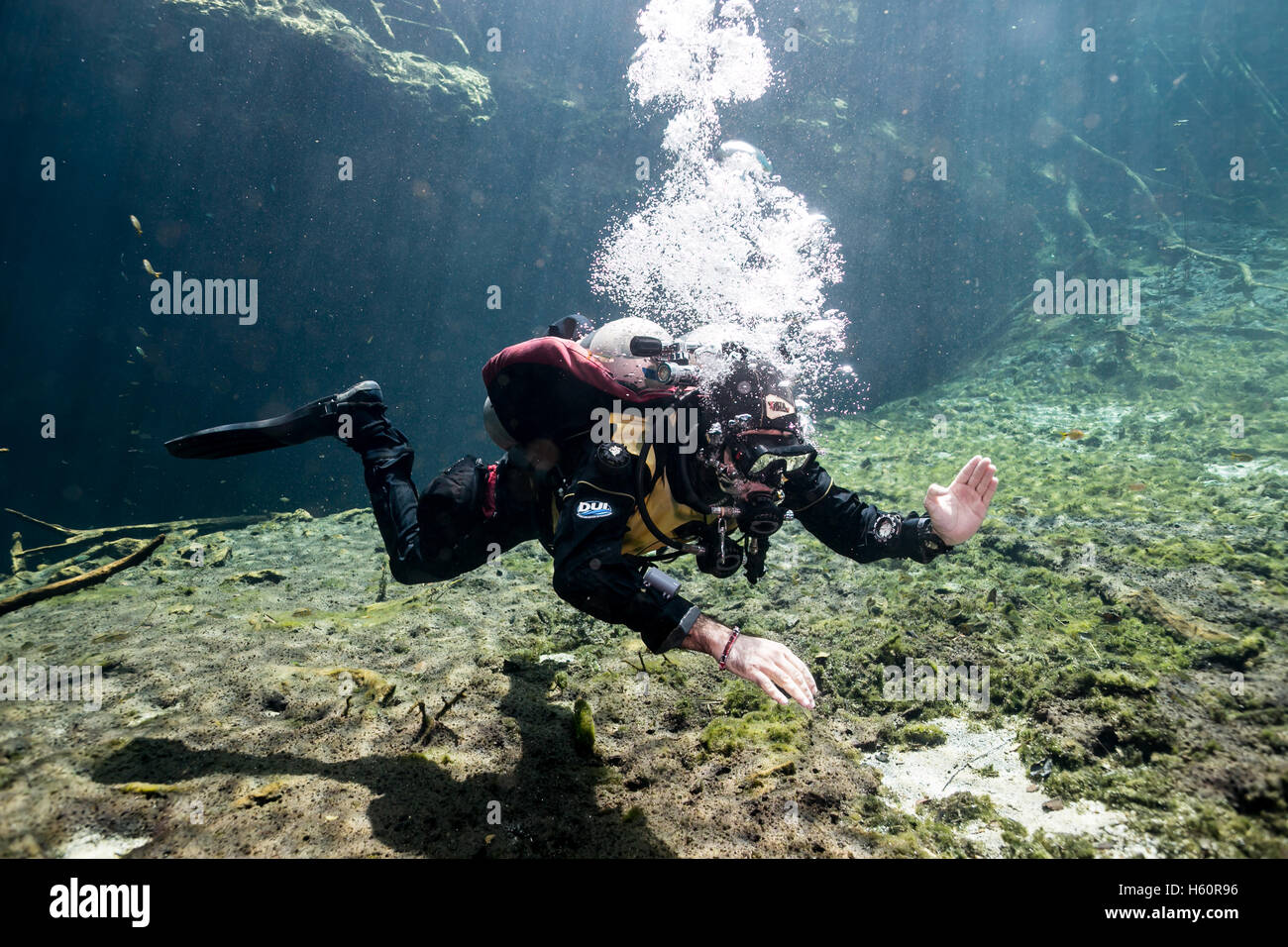 Scuba Diver dans Car Wash Cenote Aktun Ha, Tulum, péninsule du Yucatan, Mexique Banque D'Images