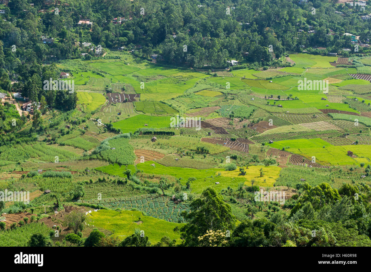 Porawagala vue surplombant les terres agricoles autour de Bandarawela, Sri Lanka Banque D'Images