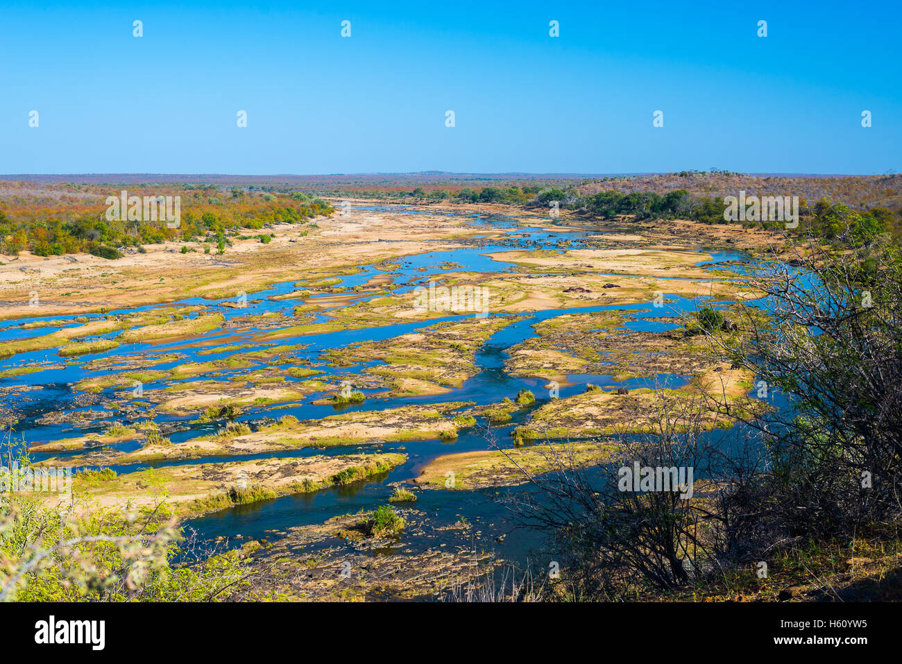 Olifants River, scenic et paysage coloré avec la faune dans le Parc National Kruger, célèbre destination touristique dans le sud Afri Banque D'Images