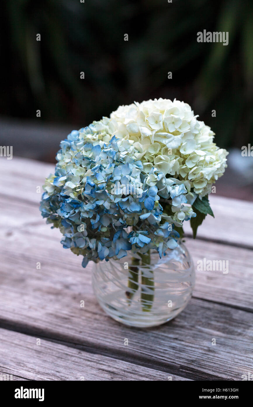 Hortensia bleu et blanc de fleurs dans un vase en verre sur une table de  ferme rustique en bois Photo Stock - Alamy
