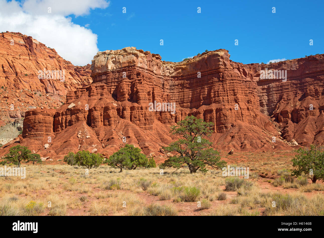 Capitol Reef National Park dans l'Utah, USA Banque D'Images