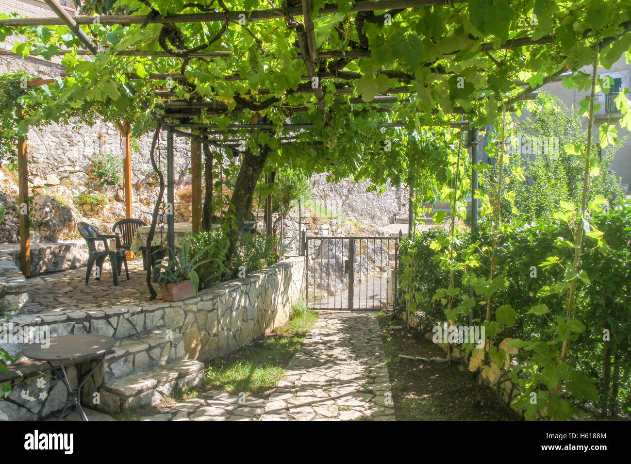 Pergola couverte de vigne dans un jardin ombragé près de Pérouse, Ombrie,  Italie Photo Stock - Alamy
