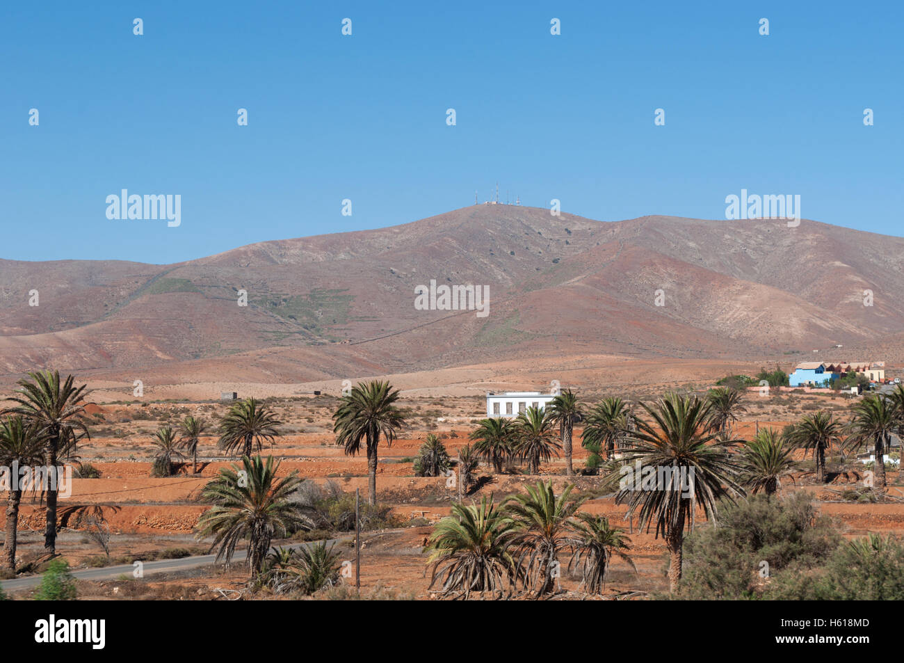 Fuerteventura, Îles Canaries, l'Afrique du Nord : voir le paysage désertique avec des palmiers, des maisons blanches et une terre à la recherche comme la planète de Mars Banque D'Images