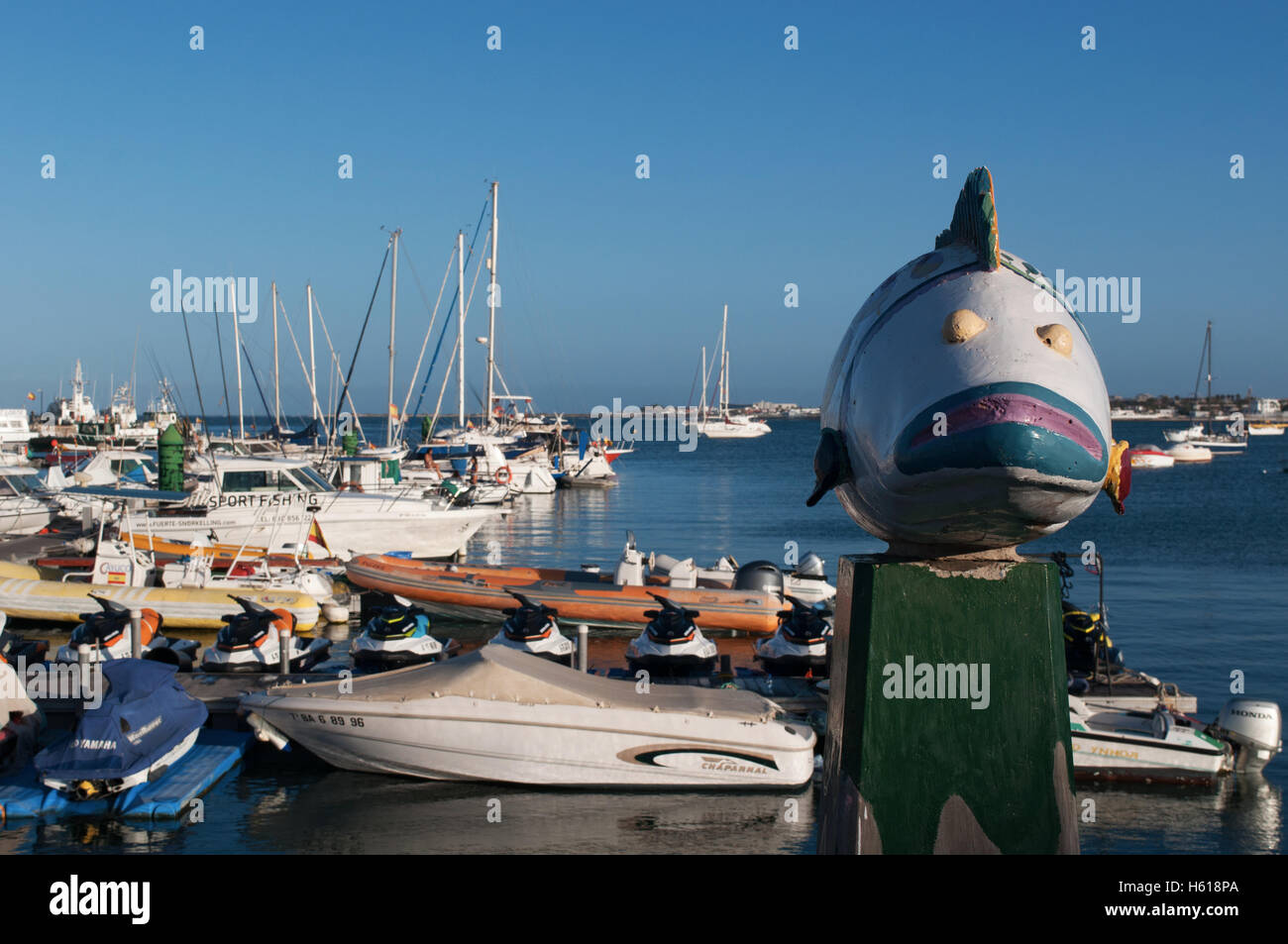 Fuerteventura, Îles Canaries, Afrique du Nord, de l'Espagne : une sculpture de poisson dans le port de Corralejo Banque D'Images