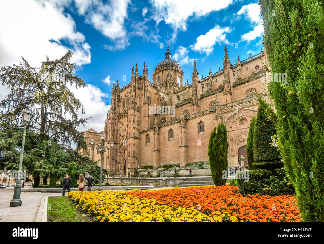 Belle vue sur la cathédrale de Salamanque, Castille et Leon, Espagne région Banque D'Images