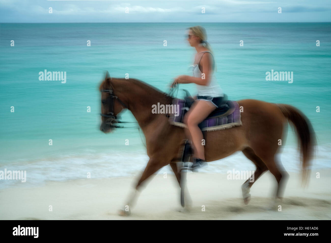 Femme cheval au galop sur la plage. Îles Turques et Caïques. Providenciales Banque D'Images