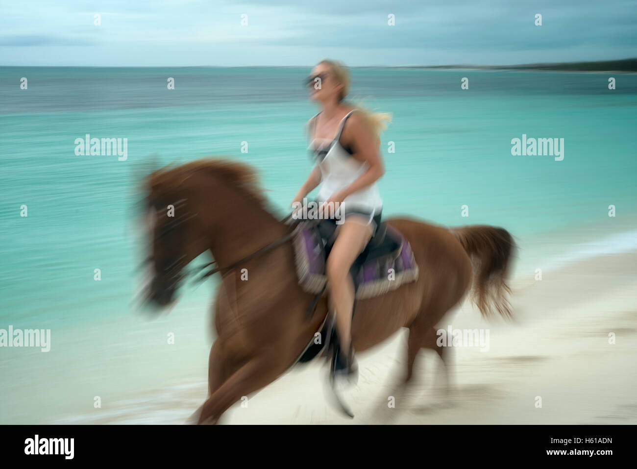 Femme cheval au galop sur la plage. Îles Turques et Caïques. Providenciales Banque D'Images