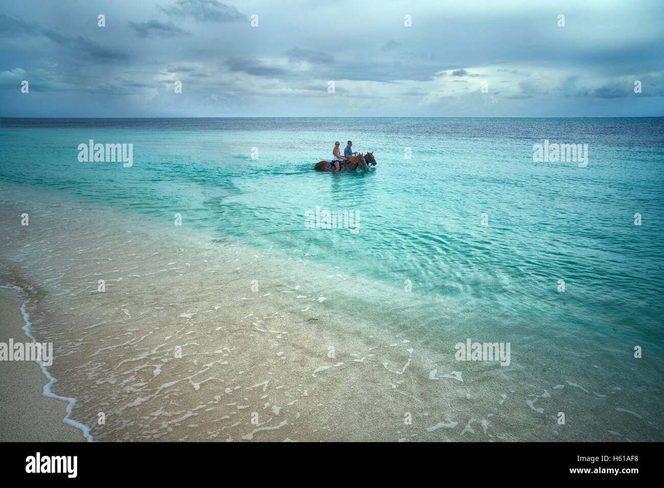 La femme et l'homme cheval d'équitation dans l'eau. Îles Turques et Caïques. Providenciales Banque D'Images