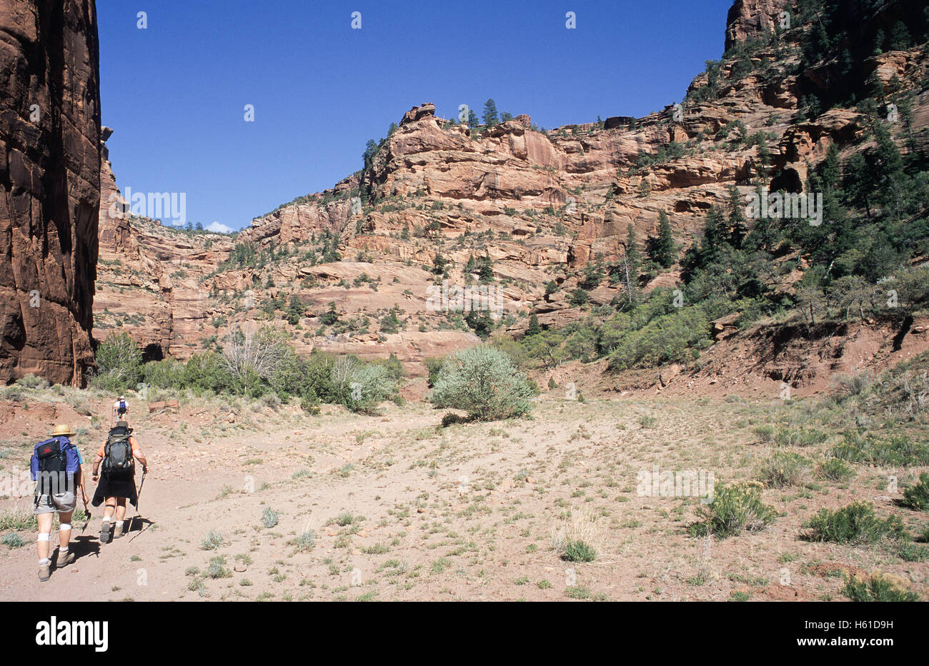 Randonneurs sur le sentier dans la région de Canyon de Chelly National Monument, Arizona Banque D'Images