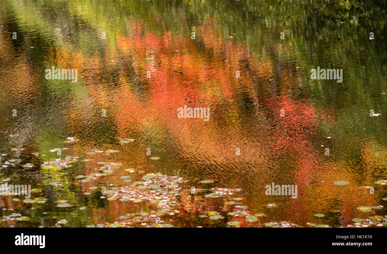 Water reflections Bristol Maine USA Banque D'Images