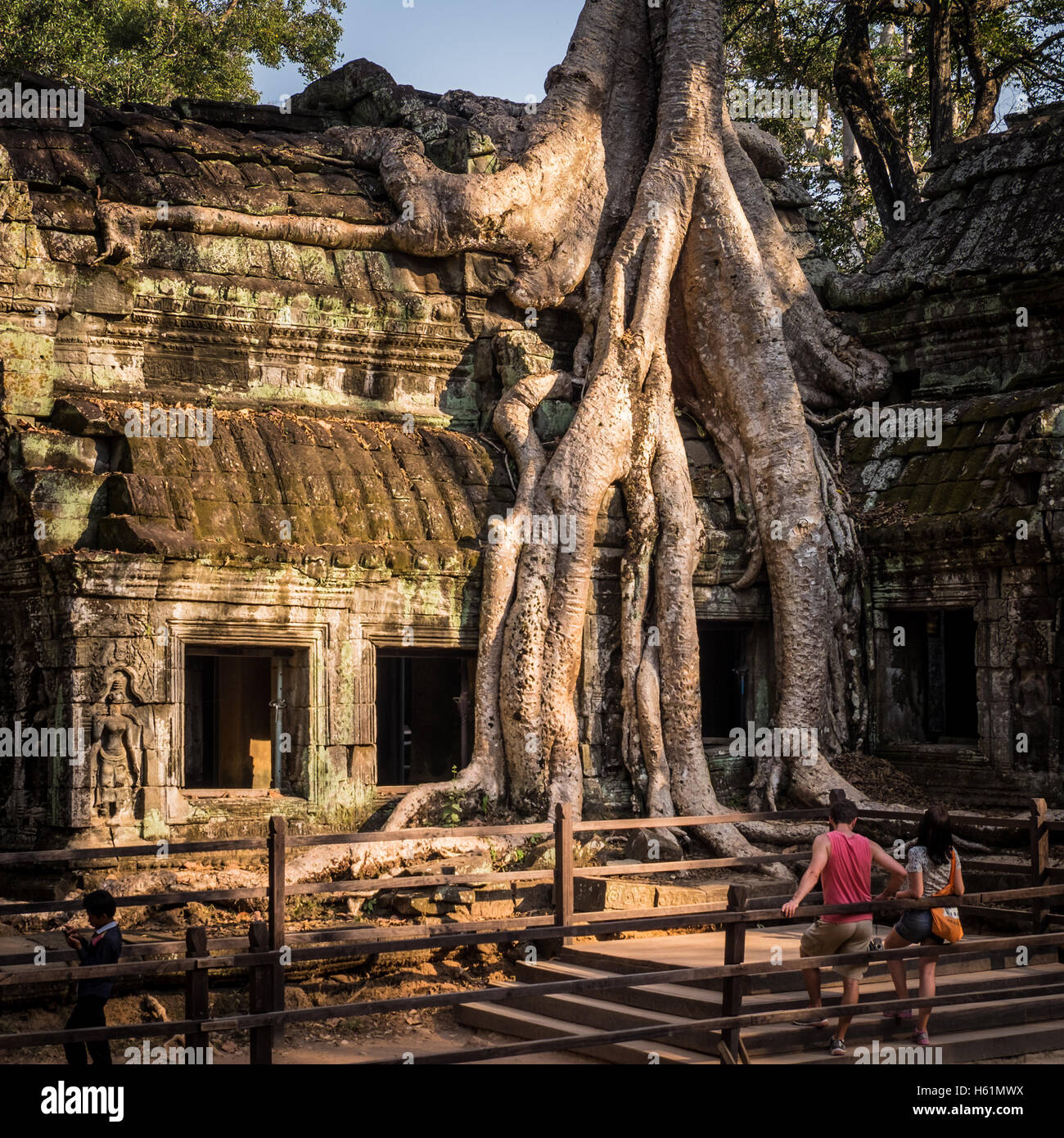 Les gens d'admirer les racines de l'arbre qui engloutit les bâtiments du Temple Ta Prohm, Cambodge Banque D'Images