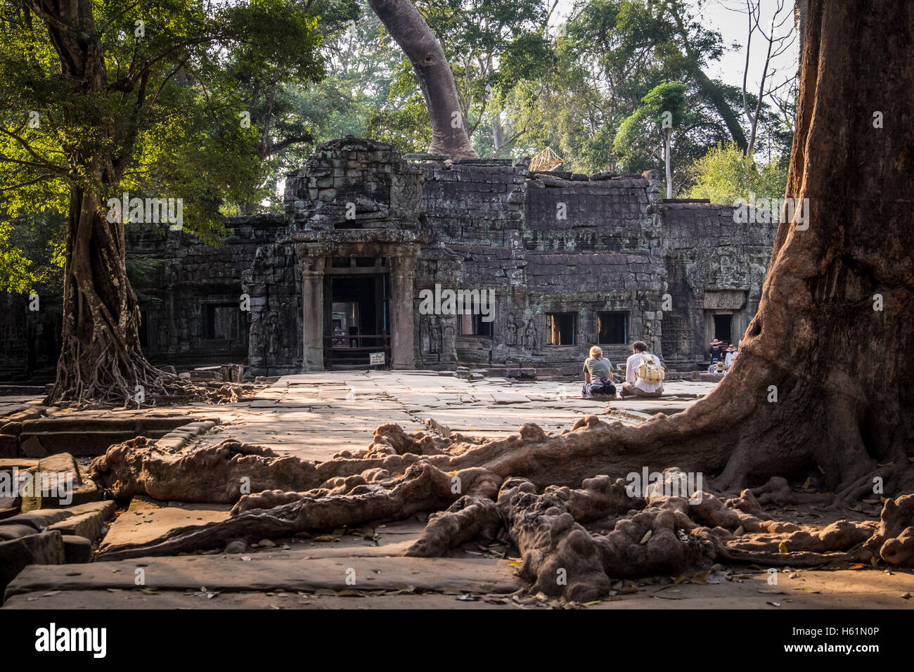 Des gens assis par les racines des arbres s'étendant sur le sol à Ta Prohm Temple, Cambodge Banque D'Images