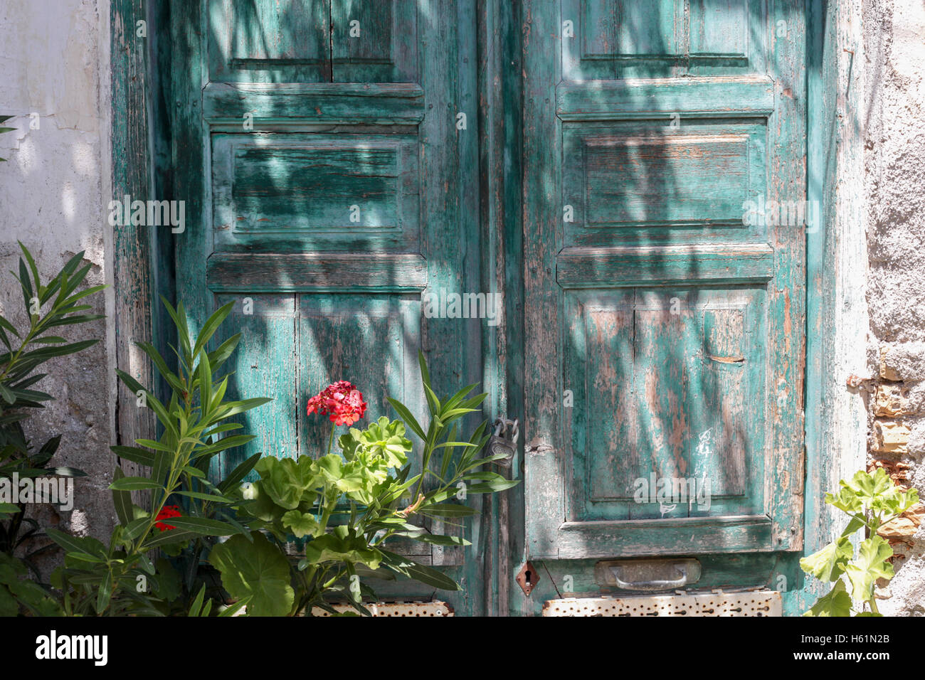 Le bois vert pâle et patiné porte Banque D'Images