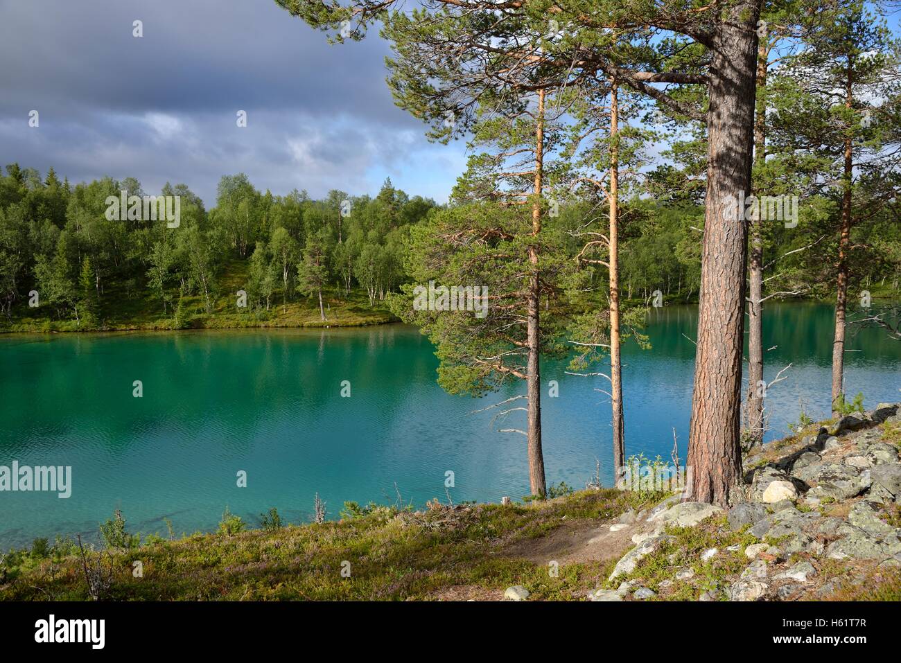 Blanktjärn Vålådalen, lac, Jämtland, Suède Banque D'Images