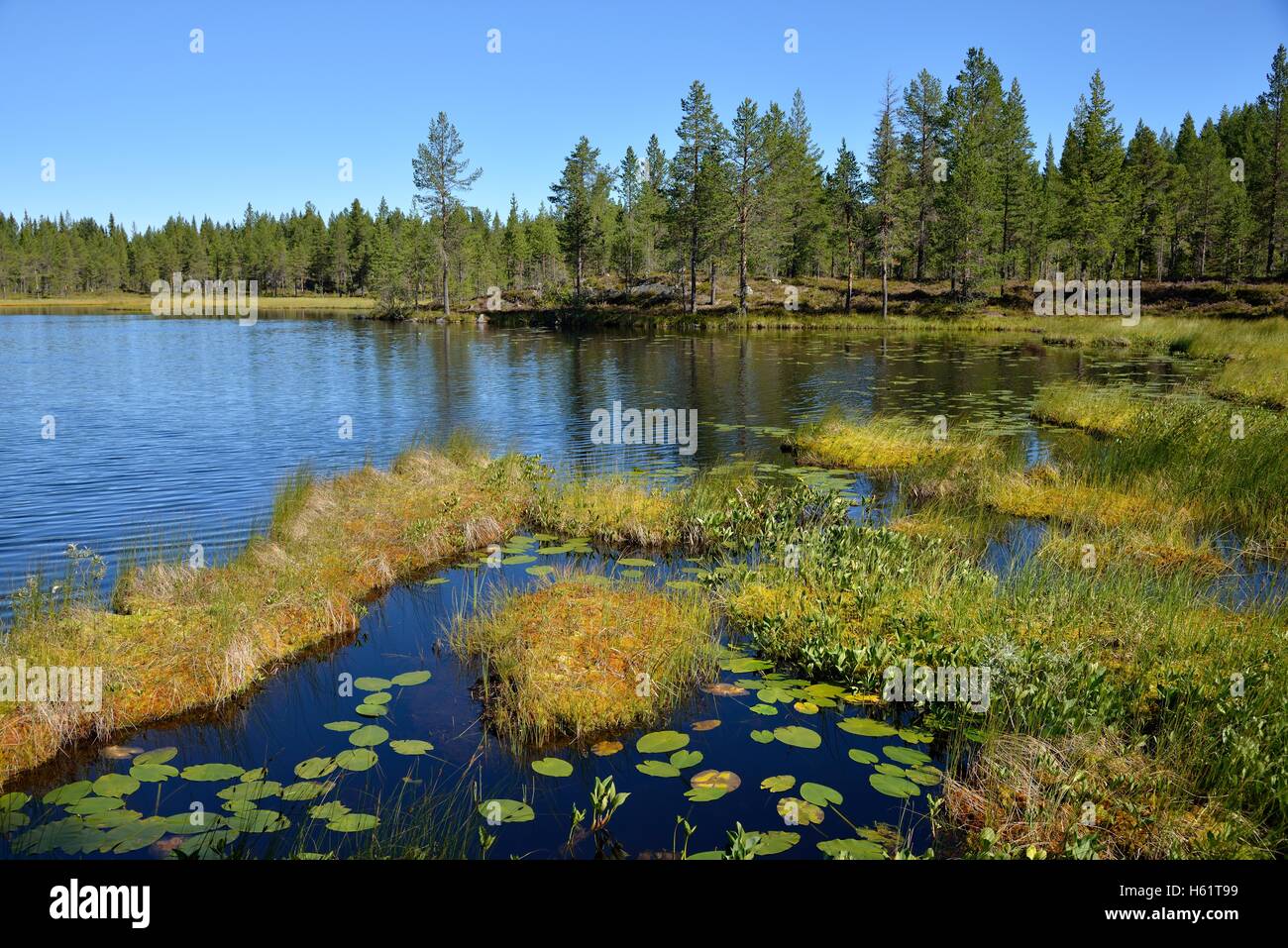 Lac près de Börtnan, Guiclan, Jämtland, Suède Banque D'Images